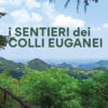 Colli Euganei