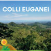 Colli Euganei